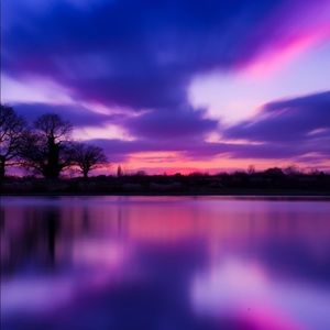 Meet your Posher, Tj